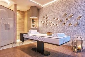 RESTAURANT, HOTEL & WELLNESS