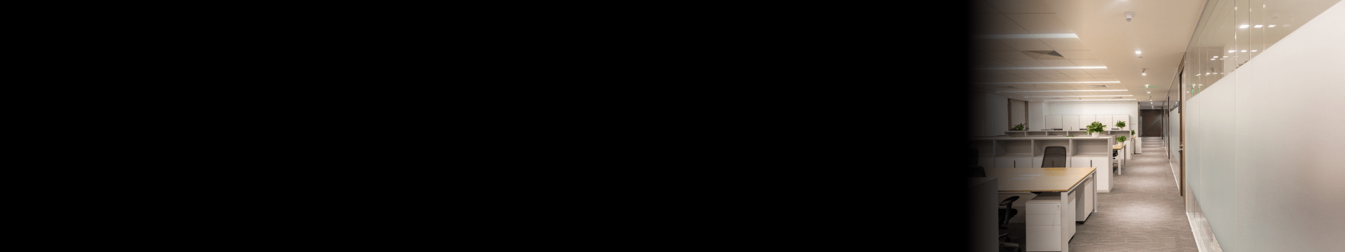 &nbsp;